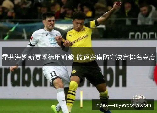 霍芬海姆新赛季德甲前瞻 破解密集防守决定排名高度 霍芬海姆新赛季德甲前瞻 破解密集防守决定排名高度